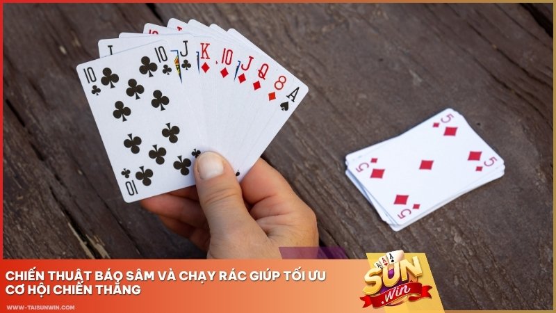 Chiến thuật Báo Sâm và chạy rác giúp tối ưu cơ hội chiến thắng