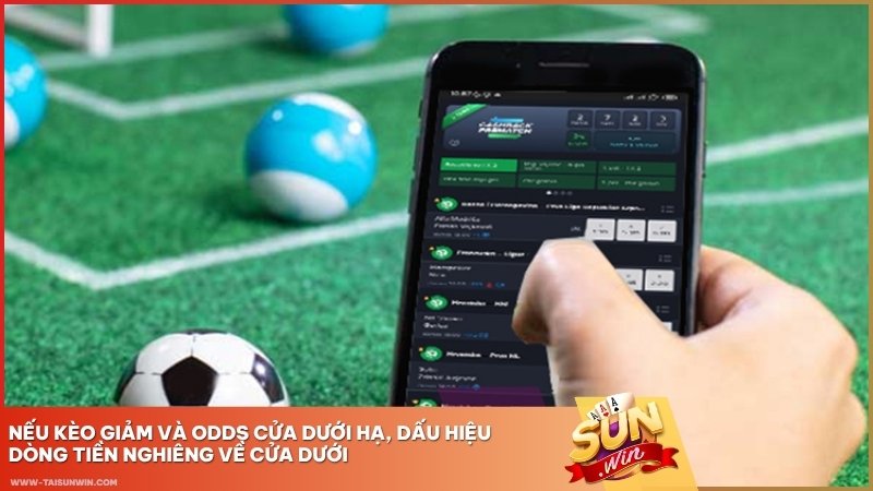Nếu kèo giảm và odds cửa dưới hạ, dấu hiệu dòng tiền nghiêng về cửa dưới