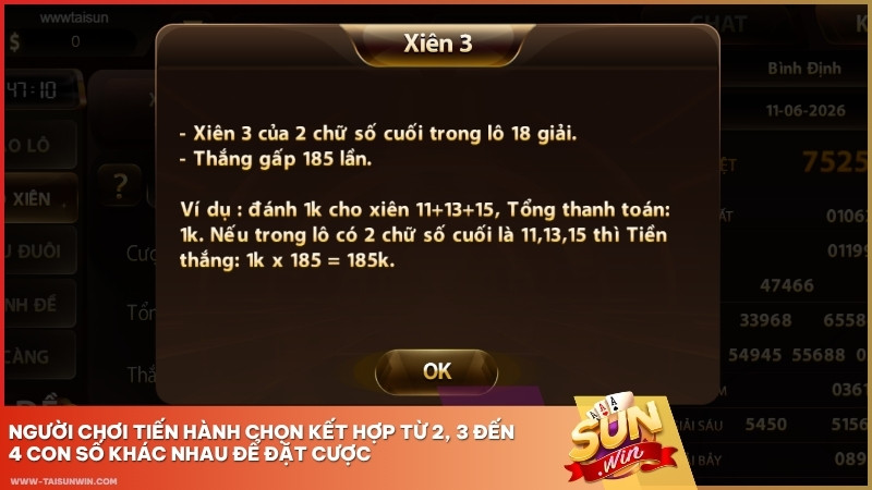 Người chơi tiến hành chọn kết hợp từ 2, 3 đến 4 con số khác nhau để đặt cược
