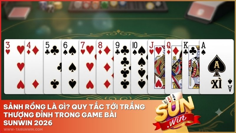 Sảnh Rồng Là Gì? Quy Tắc Tới Trắng Thượng Đỉnh Trong Game Bài Sunwin 2026